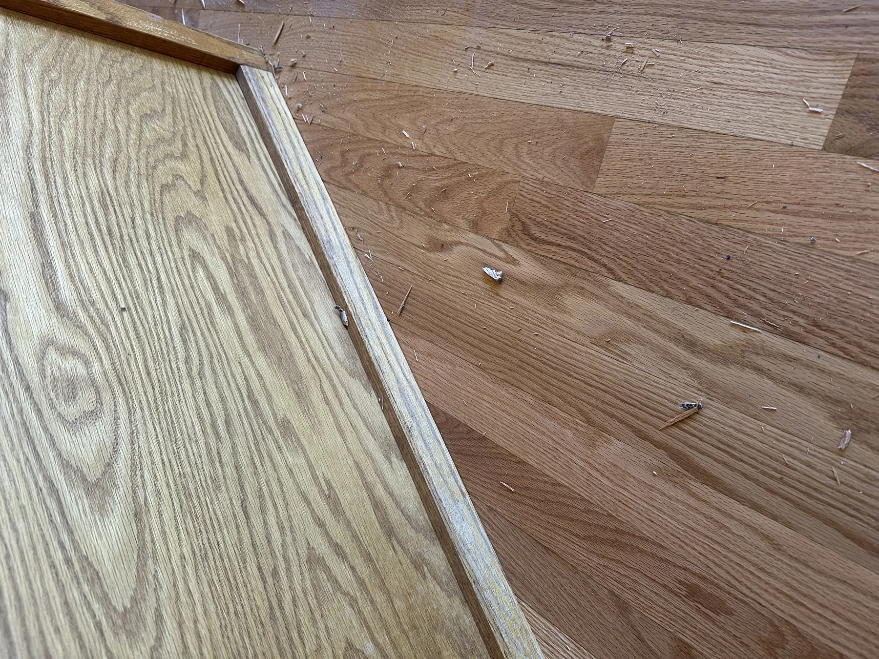 Wooded Modern Build — image 3